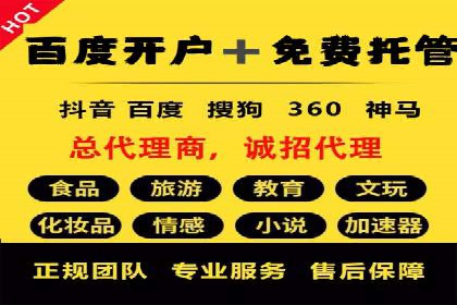 某公司通过竞价SEM优化搜索引擎排名案例